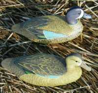 Decoy Carvings